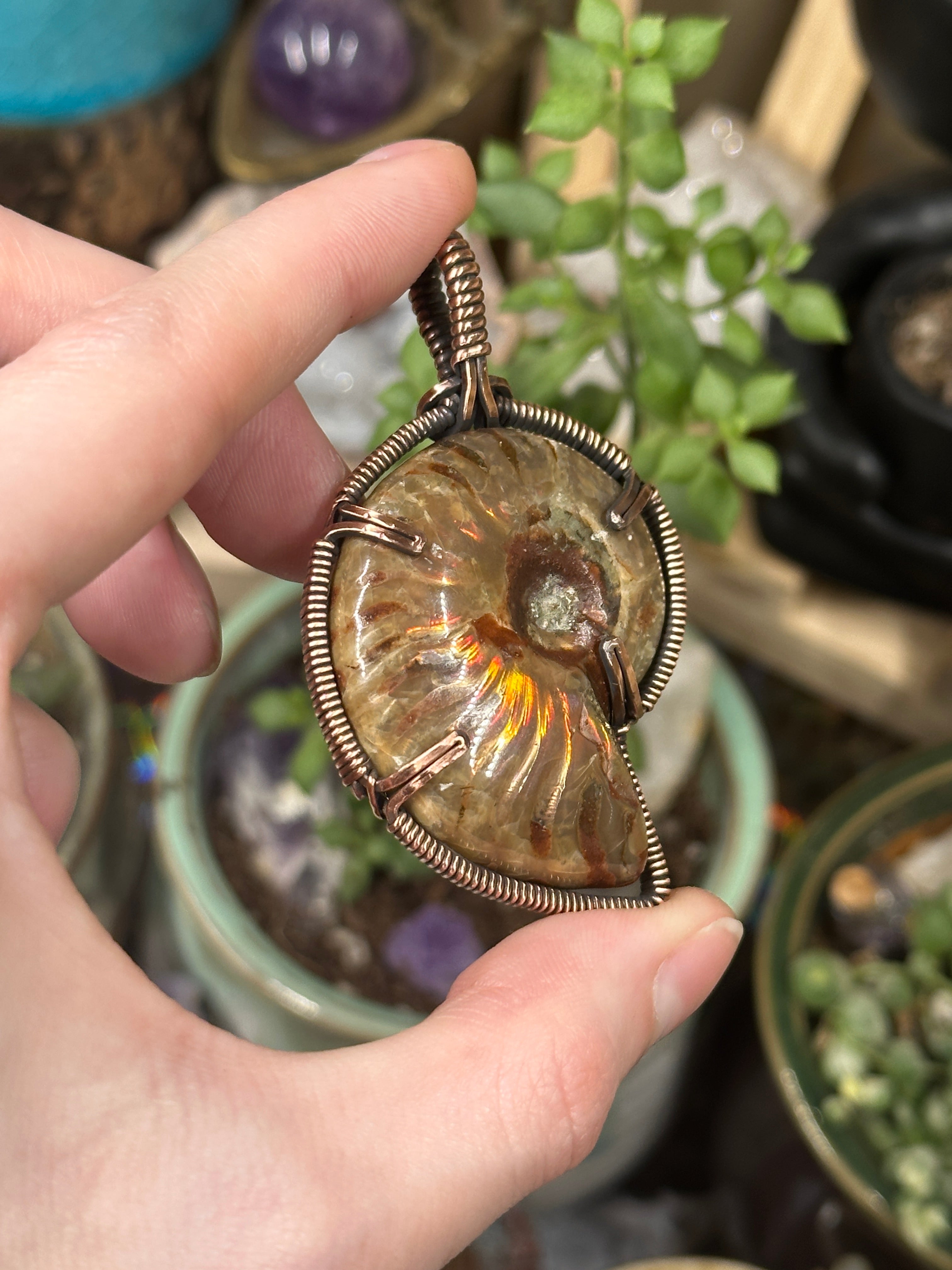 Opalized ammonite for discount sale