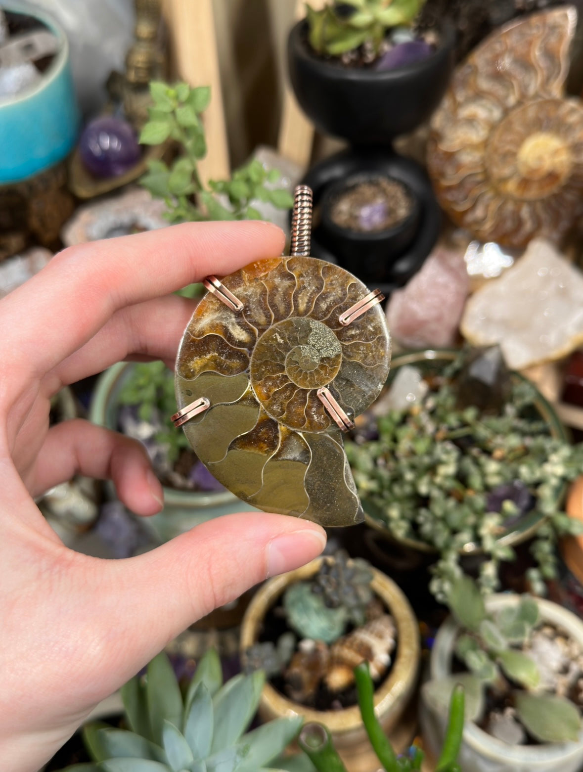 Ammonite statement pendant