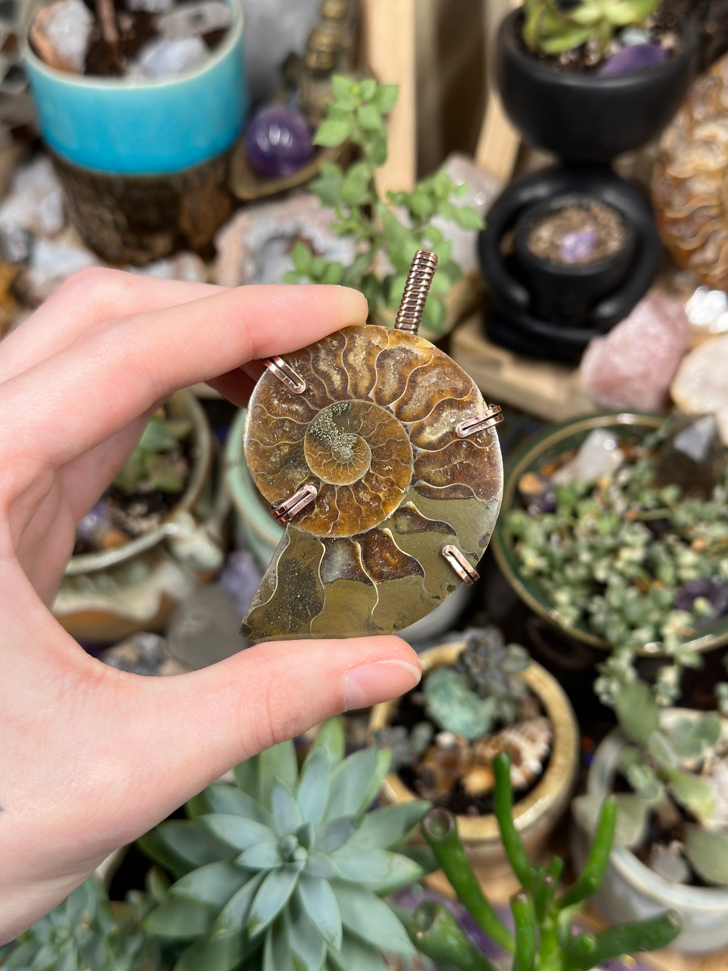 Ammonite statement pendant