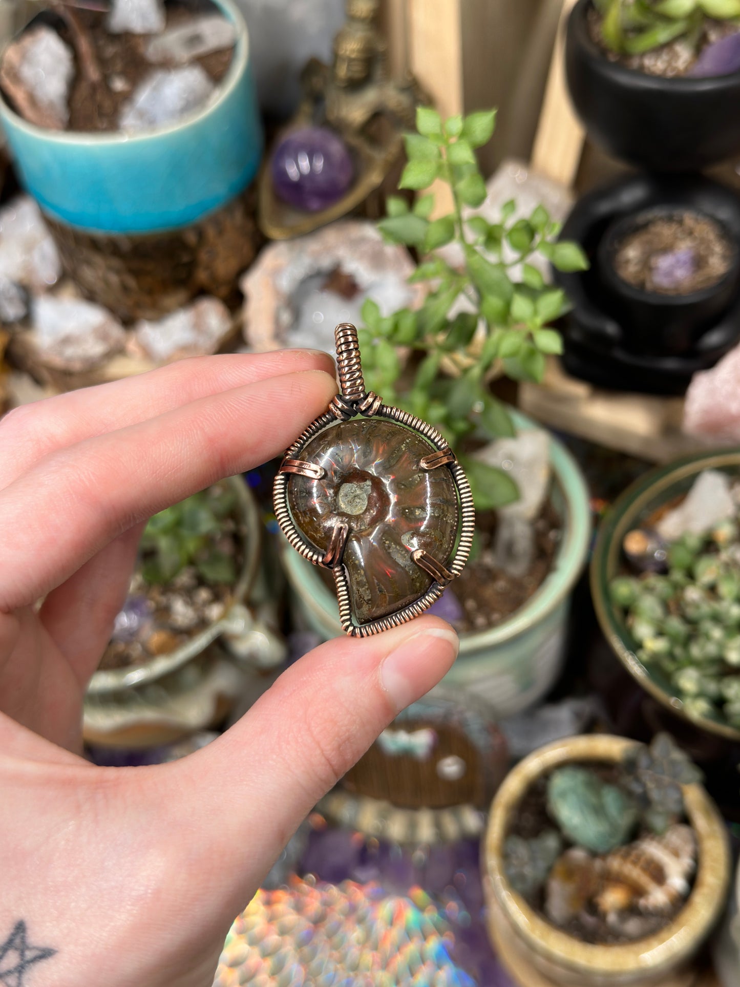 Opalized Ammonite pendant