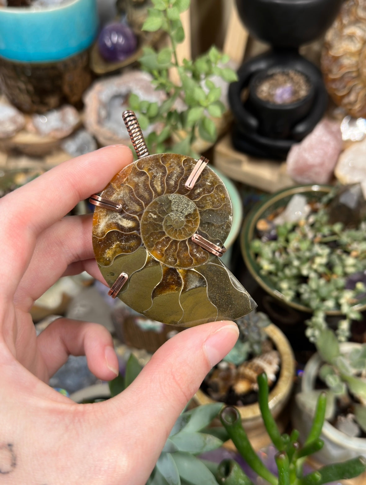 Ammonite statement pendant