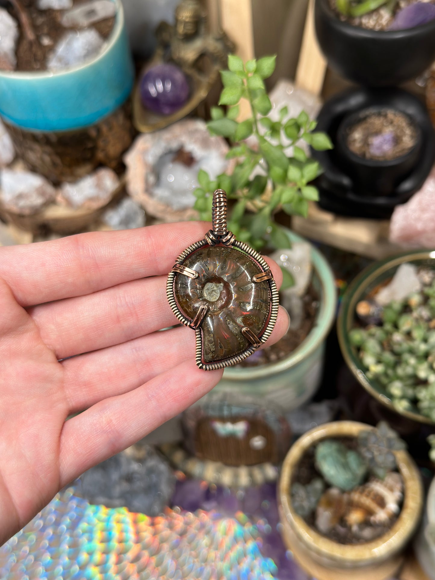 Opalized Ammonite pendant