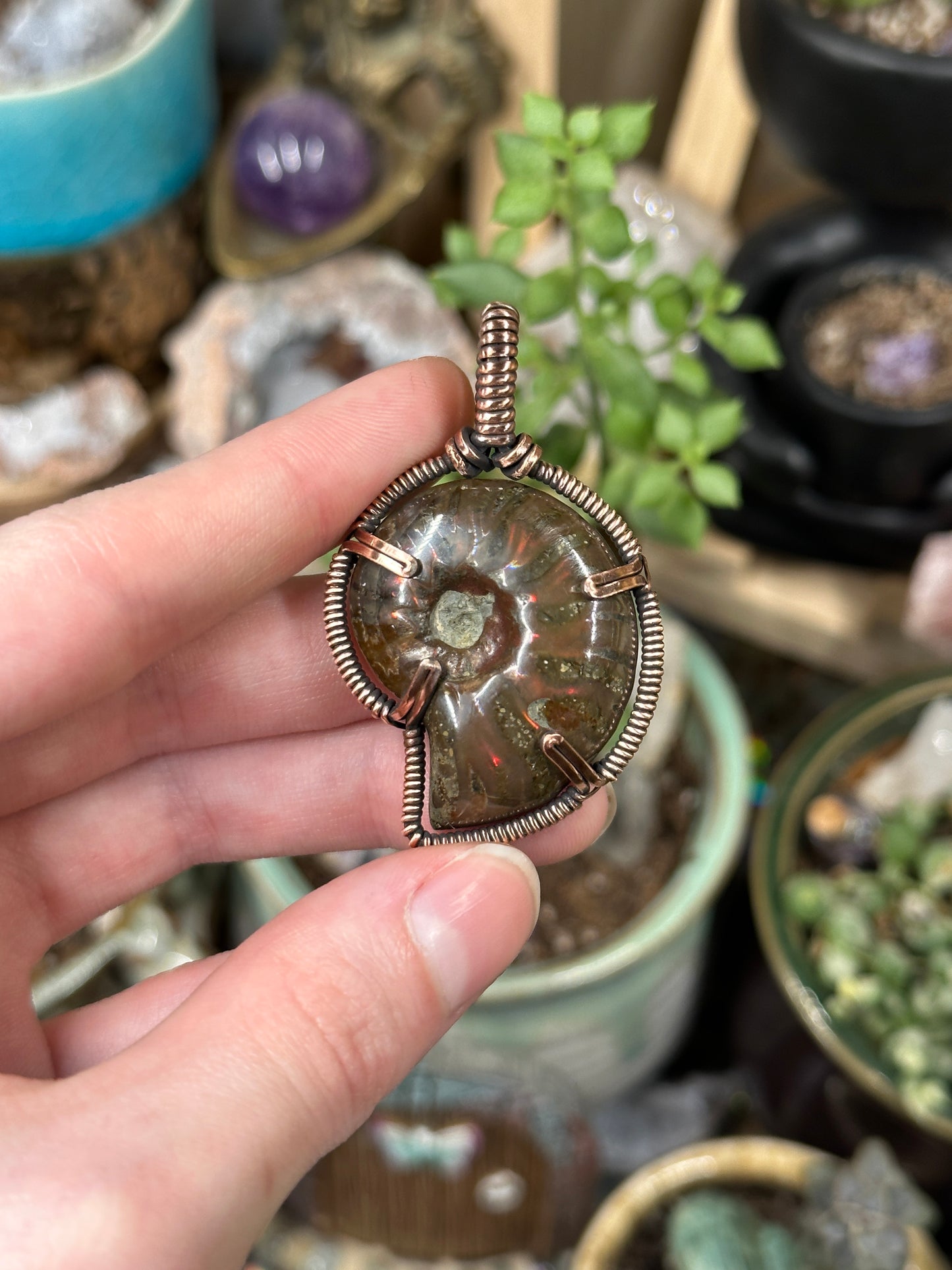 Opalized Ammonite pendant