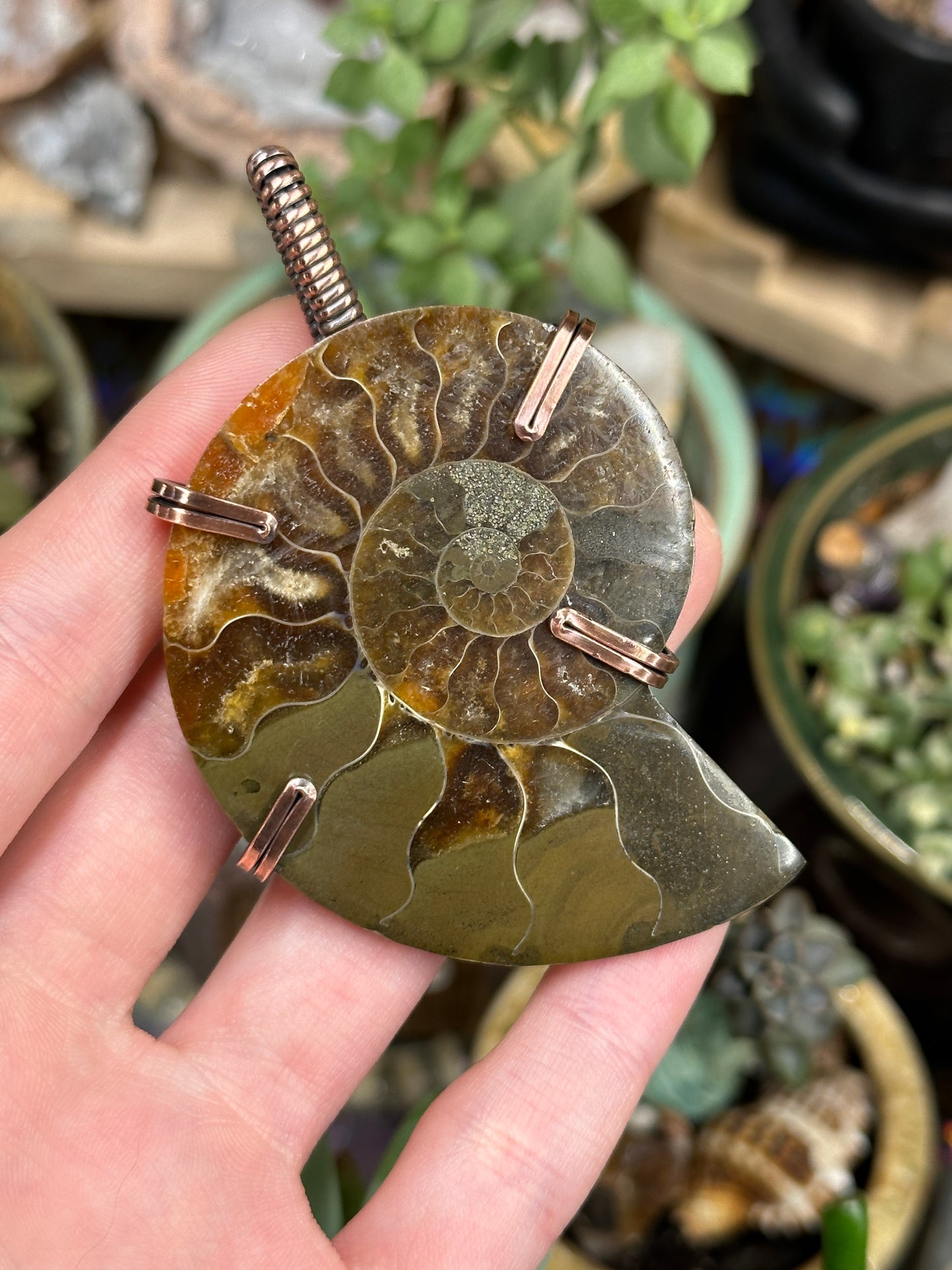 Ammonite statement pendant