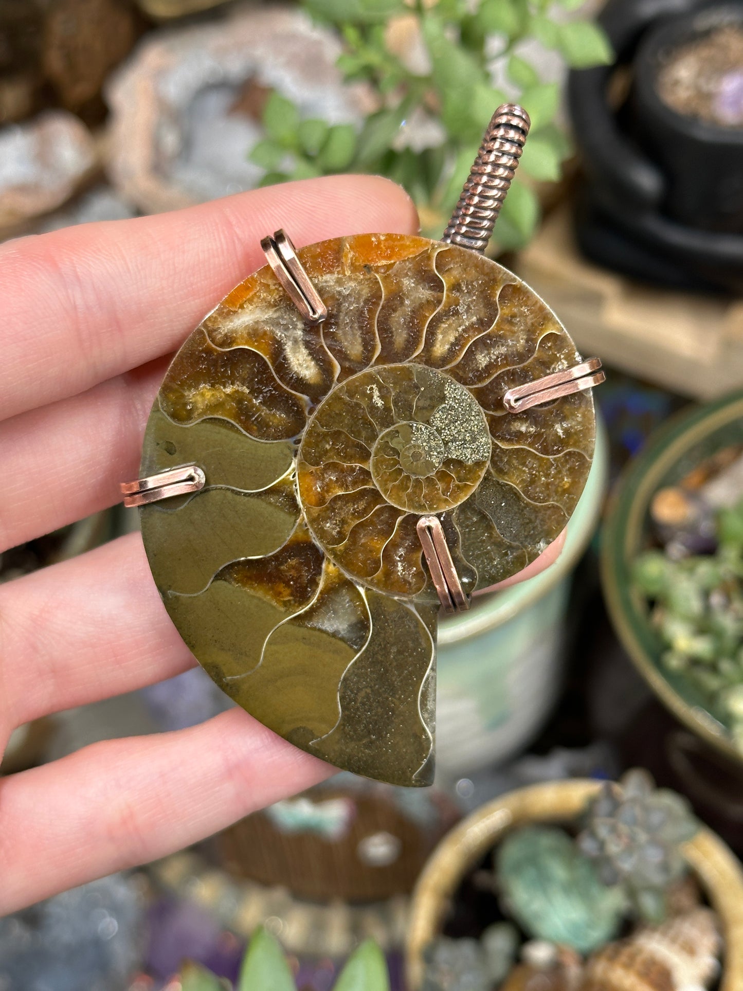 Ammonite statement pendant