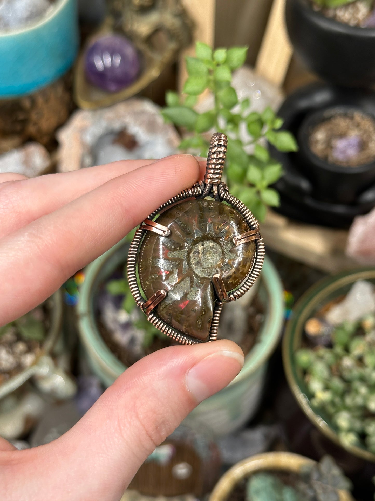 Opalized Ammonite pendant