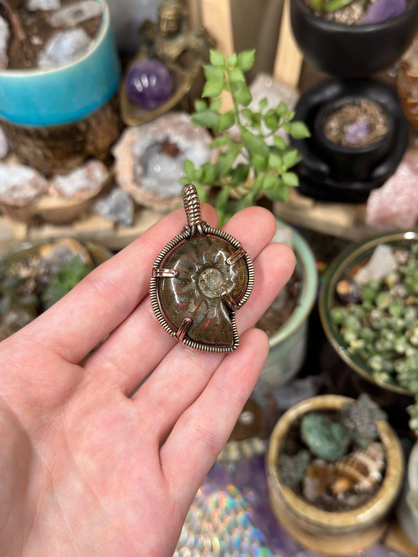 Opalized Ammonite pendant