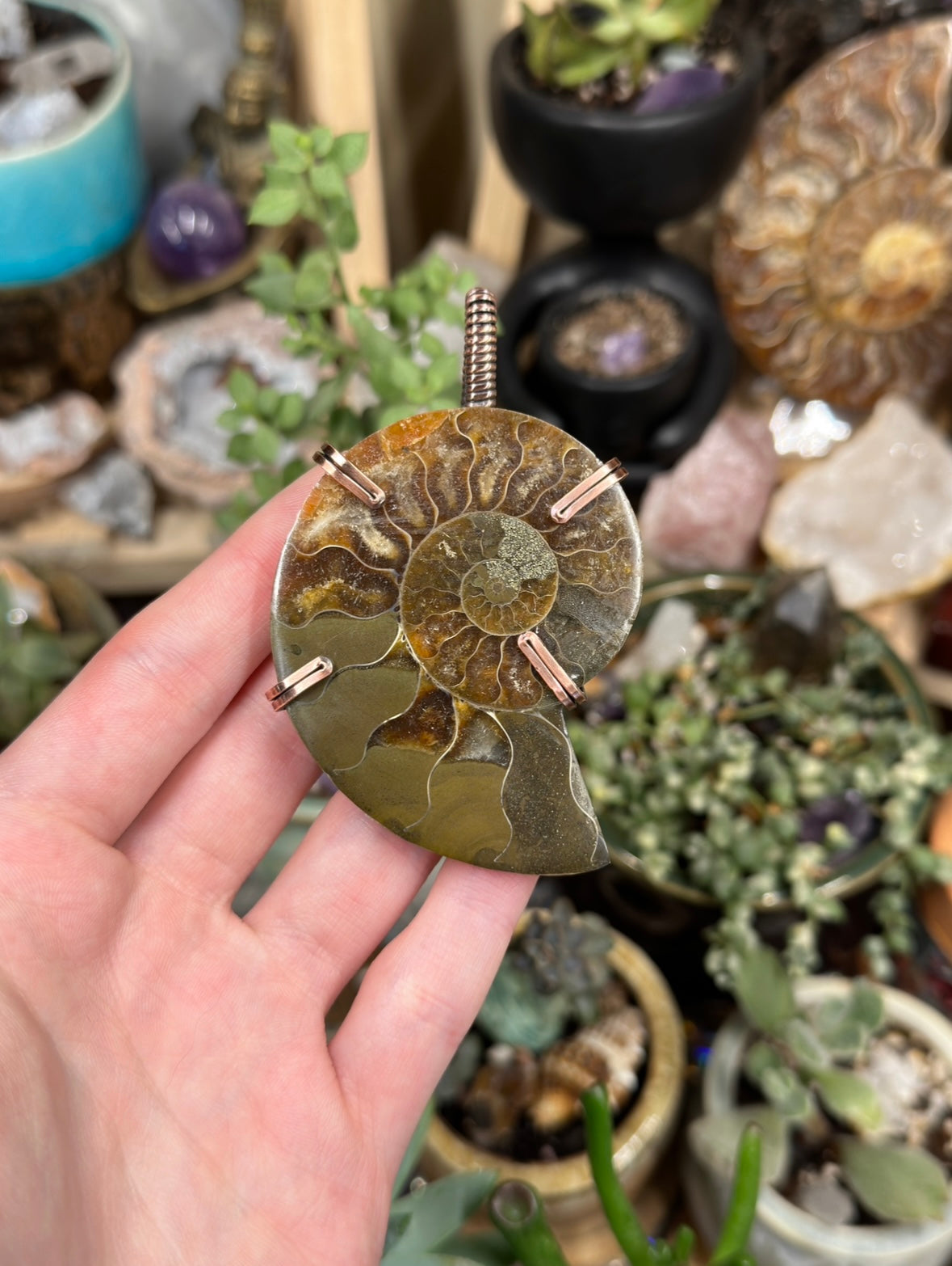 Ammonite statement pendant