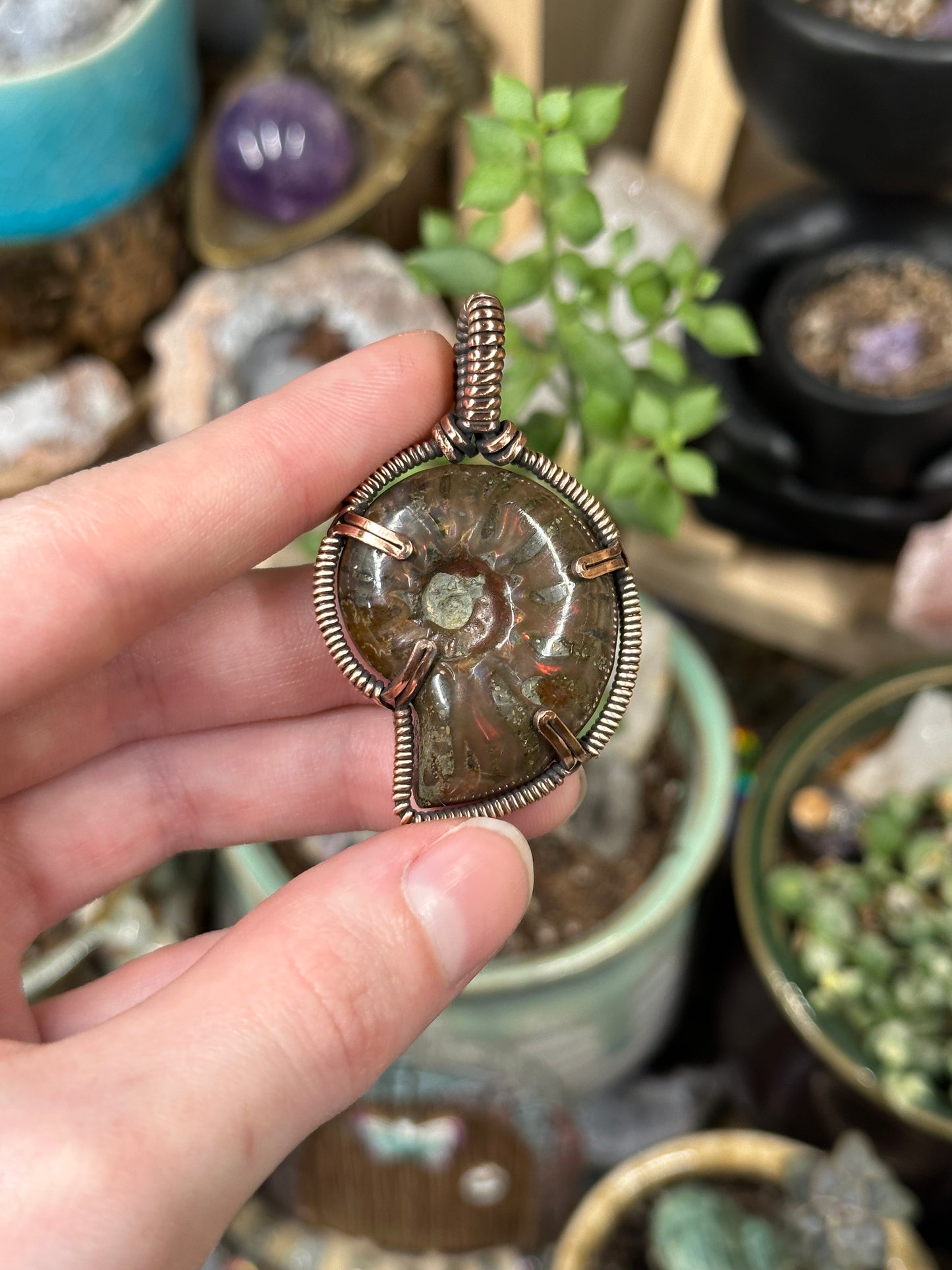 Opalized Ammonite pendant