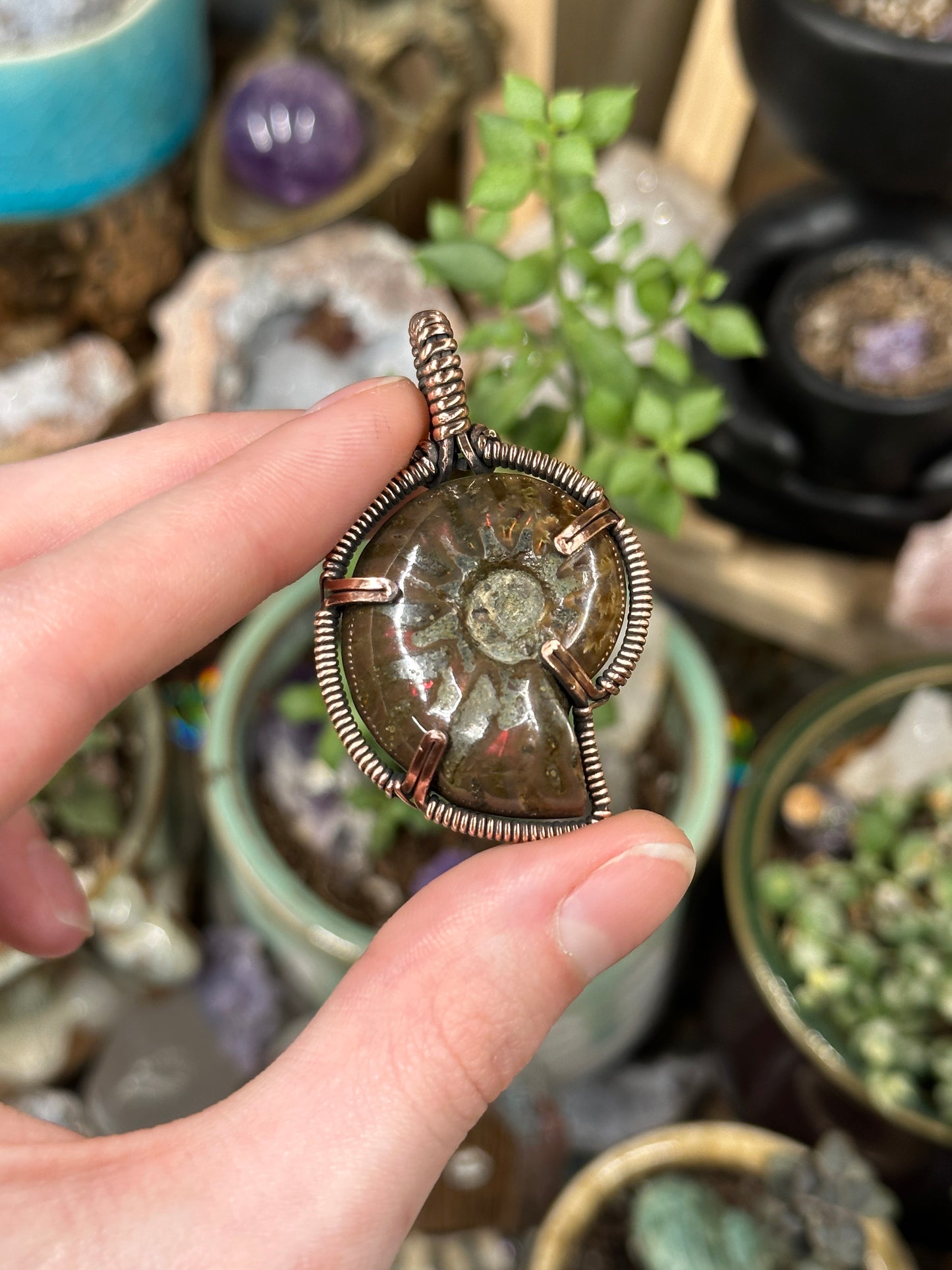 Opalized Ammonite pendant