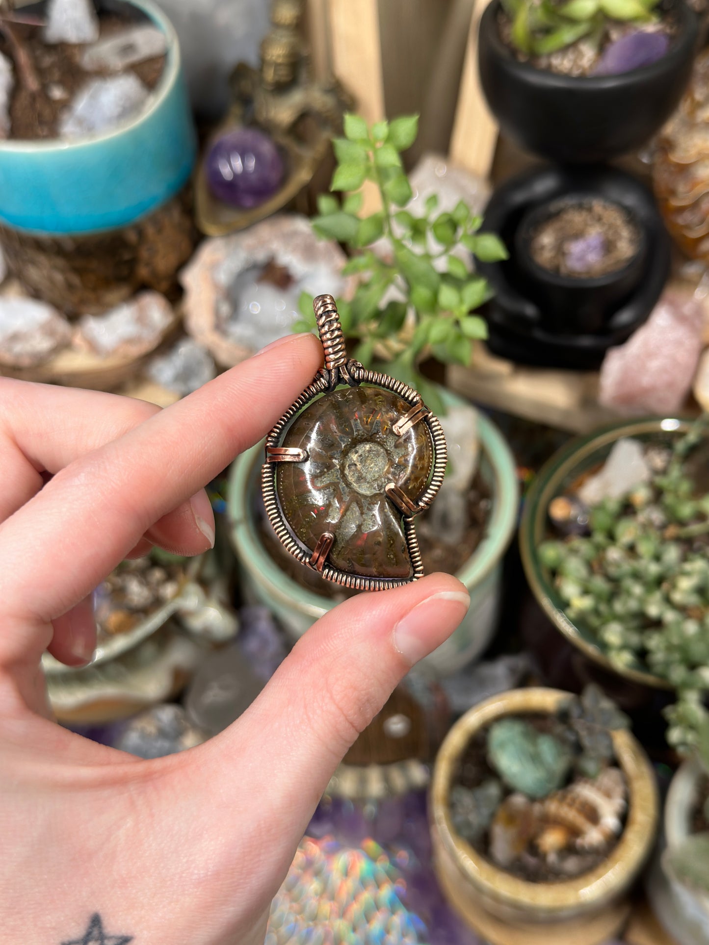 Opalized Ammonite pendant